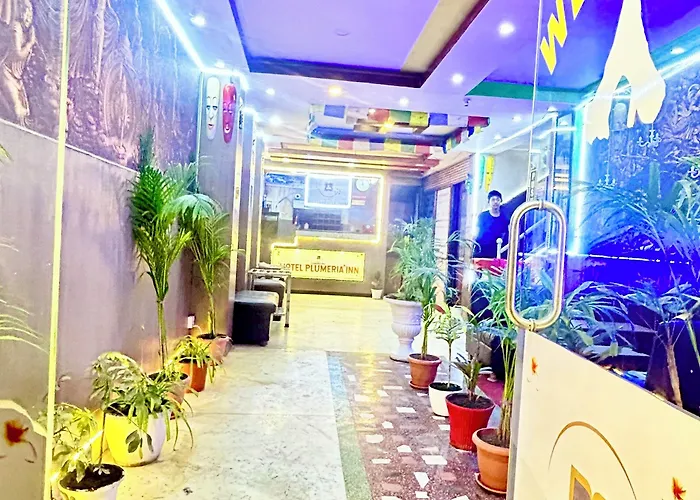 Hotel Plumeria