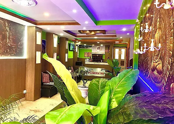 Hotel Plumeria