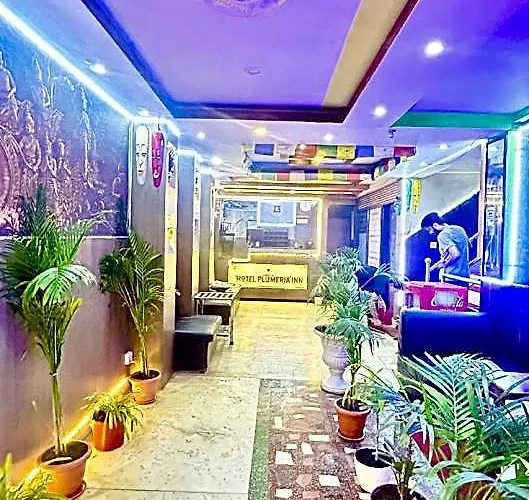 Hotel Plumeria 5*